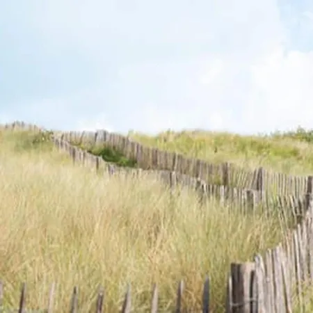 Lägenhet Beachside For 4 In Blankenberge